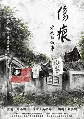 伤痕——老兵的故事：战争创伤与英雄内心的真实描绘，一部让人反思历史的感人杰作